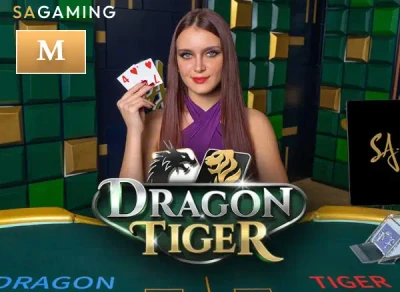 SB88 M Dragon Tiger
