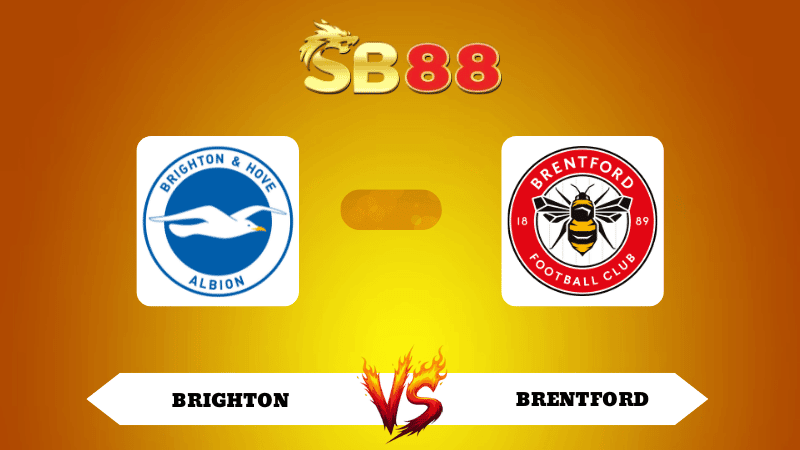 SB88 Nhận định soi kèo Brighton vs Brentford 22h00 ngày 22/11/2025 - Ngoại Hạng Anh